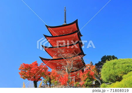 【広島県】晴天下の宮島（厳島神社）五重塔 71808019