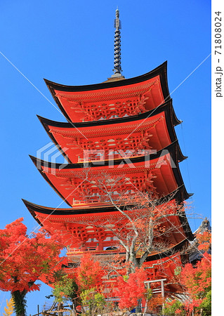 広島県 晴天下の宮島 厳島神社 五重塔の写真素材