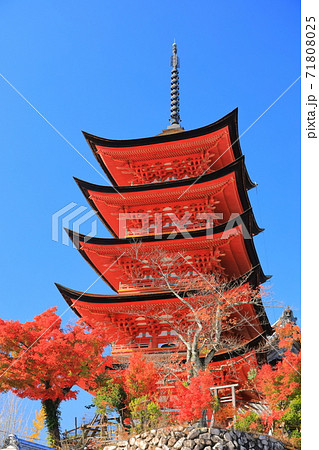 【広島県】晴天下の宮島(厳島神社)五重塔 【広島県】晴天下の宮島(厳島神社)五重塔 71808025