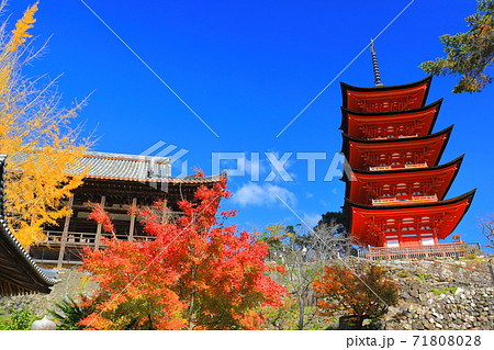 【広島県】晴天下の宮島（厳島神社） 71808028