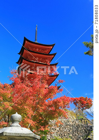 【広島県】晴天下の宮島(厳島神社)五重塔 【広島県】晴天下の宮島(厳島神社)五重塔 71808033