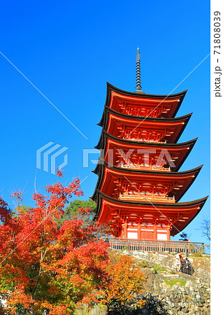 【広島県】晴天下の宮島（厳島神社）五重塔 71808039