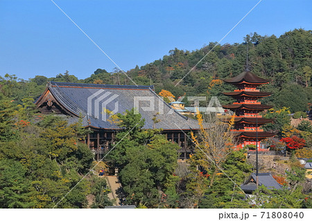 【広島県】晴天下の宮島の眺望（厳島神社） 71808040