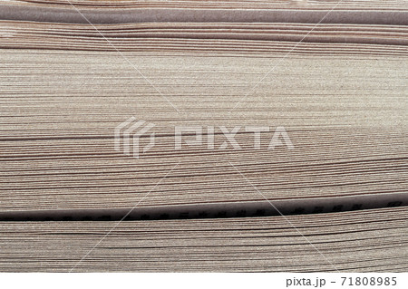 Texture of butt ends stack of sheets in book, side view 71808985