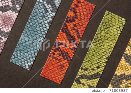 Different samples of exotic reptiles genuine leather, colorful shades, production and sale of fashion accessories Different samples of exotic reptiles genuine leather, colorful shades, production and sale of fashion accessories 71808987