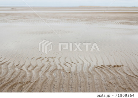 Low tide on the sea coast 71809364