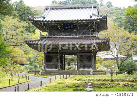 林泉寺の山門 71810871