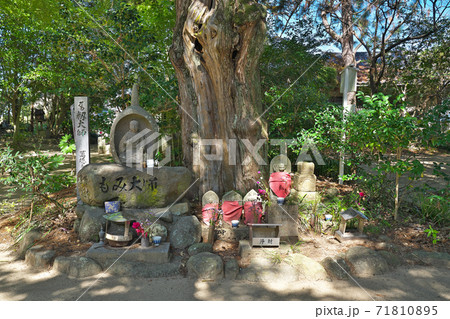 【医王山 養珠院 浄瑠璃寺】 (四国霊場第46番札所) 愛媛県松山市浄瑠璃町 71810895