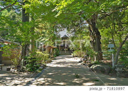 【医王山 養珠院 浄瑠璃寺】 (四国霊場第46番札所) 愛媛県松山市浄瑠璃町 71810897