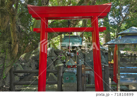 【医王山 養珠院 浄瑠璃寺】 (四国霊場第46番札所) 愛媛県松山市浄瑠璃町 71810899
