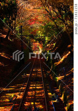 京都市左京区の叡山ロープウェイから見る紅葉の風景、秋、山、叡山【11月】 71811158