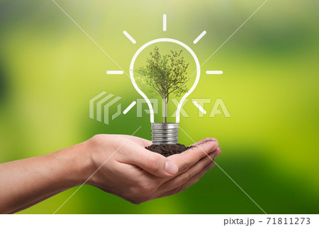 Ecological friendly and sustainable environment Ecological friendly and sustainable environment 71811273