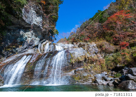 瀬戸川渓谷　アメガエリの滝　秋　（高知県） 71811311