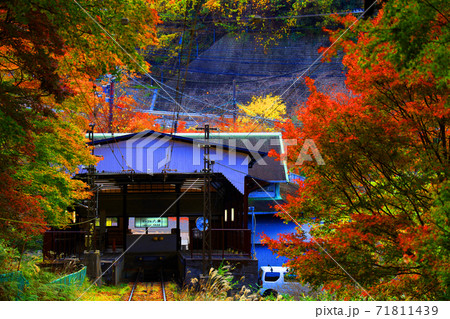 京都市左京区の叡山ロープウェイから見る紅葉の風景、秋、山、叡山【11月】 71811439