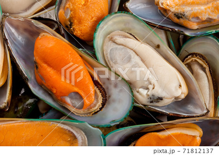 Mussel Mussel 71812137