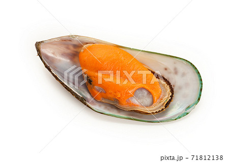 Mussel Mussel 71812138