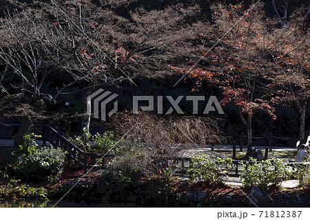 東山動植物園点景 71812387