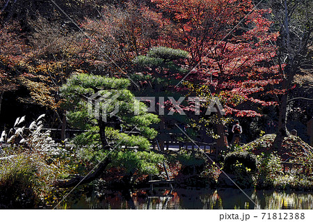 東山動植物園点景 東山動植物園点景 71812388
