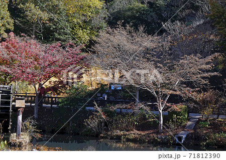 東山動植物園点景 東山動植物園点景 71812390