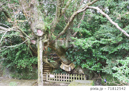 槵觸神社　天真名井 71812542