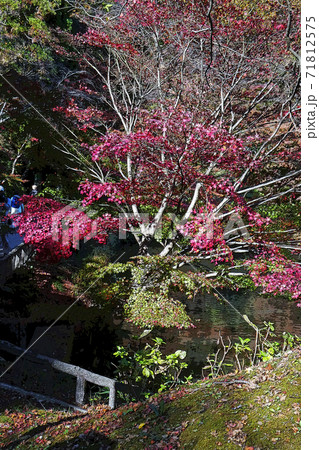 東山動植物園点景 東山動植物園点景 71812575