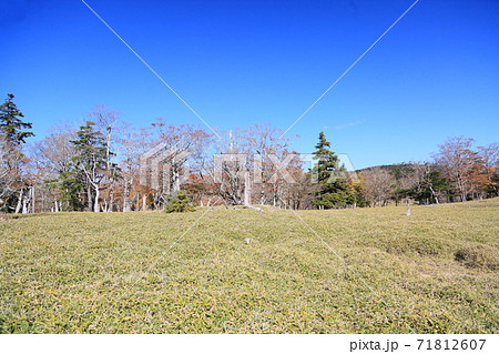 牛石ヶ原 牛石ヶ原 71812607