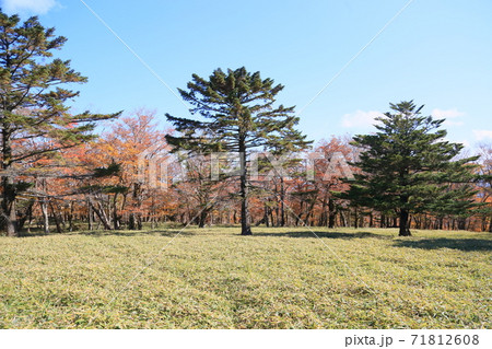 牛石ヶ原 牛石ヶ原 71812608