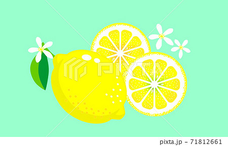 レモンとレモンの輪切りとレモンの花のイラストのイラスト素材