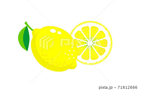 レモンとレモンの輪切りのイラストのイラスト素材