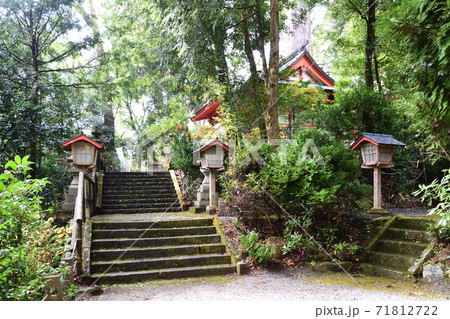 十根川神社の八村スギ 71812722