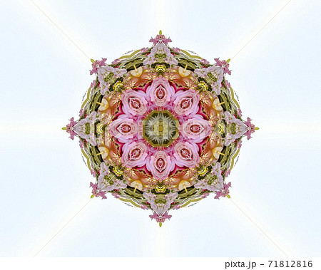 Abstract floral design with pink yellow and red roses on a field of white Abstract floral design with pink yellow and red roses on a field of white 71812816