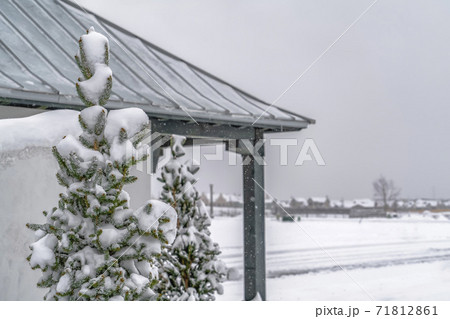 Snowy tree and pavilion in Daybreak Utah viewed on a cold winter day Snowy tree and pavilion in Daybreak Utah viewed on a cold winter day 71812861
