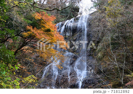 紅葉の白滝 71812892