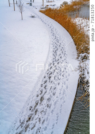 Tracks on snowy Oquirrh Lake trail in Daybreak Tracks on snowy Oquirrh Lake trail in Daybreak 71813250