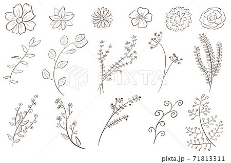オシャレな植物のラフな線画セットのイラスト素材