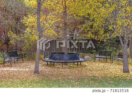 Empty benches at a park under lush trees with bright foliage in autumn 71813516