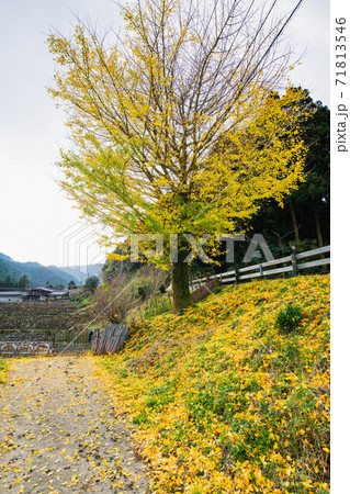 秋山の風景 秋山の風景 71813546