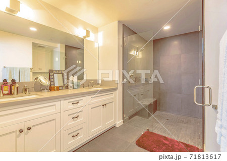 Bathroom interior with shower separated from the vanity area by a glass door Bathroom interior with shower separated from the vanity area by a glass door 71813617