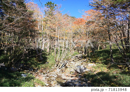 谷川のせせらぎ 谷川のせせらぎ 71813948