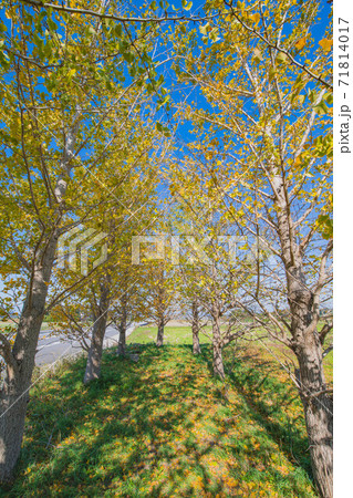 秋の風景 71814017