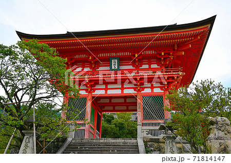 清水寺 仁王門 清水寺 仁王門 71814147