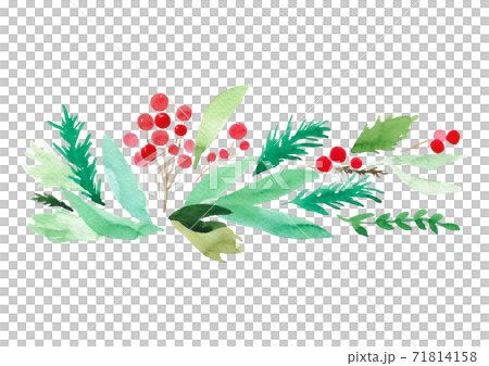 聖誕水彩植物 71814158