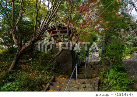 秋色に染まる紅葉が美しい 秋色に染まる紅葉が美しい 71814247