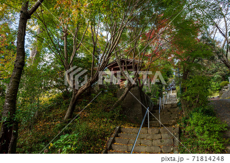 秋色に染まる紅葉が美しい 秋色に染まる紅葉が美しい 71814248