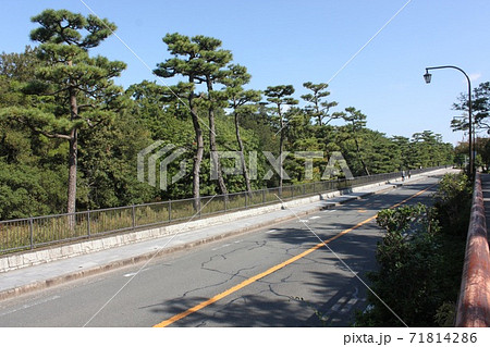 堺市仁徳天皇御陵古墳正門前通りの風景 堺市仁徳天皇御陵古墳正門前通りの風景 71814286