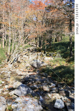 谷川のせせらぎ 71814340
