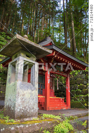 神橋付近の遊歩道　深沙王堂　秋色風景の散策　秋風景　 71814480