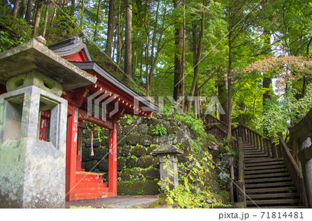 神橋付近の遊歩道　深沙王堂　秋色風景の散策　秋風景　 71814481