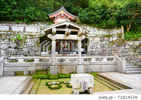 清水寺　音羽の滝 71814526