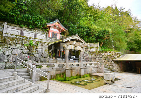 清水寺　音羽の滝 71814527